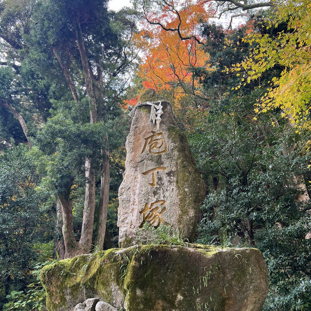 A Magical Fukuoka Experience: A Blend of History, Nature, and Festive Lights