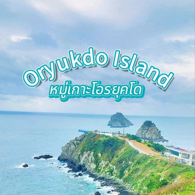 เที่ยวเกาะ 🏝 Oryukdo Island @Busan