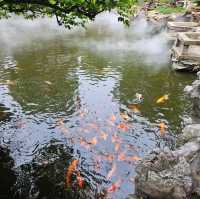 Yu Garden Shangai