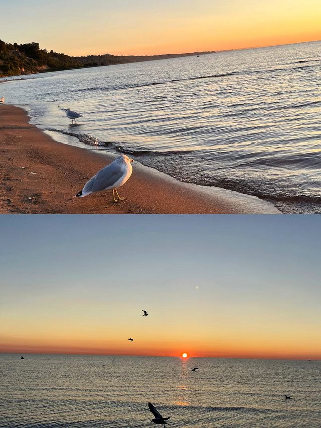 Scarborough懸崖公園看日出tips