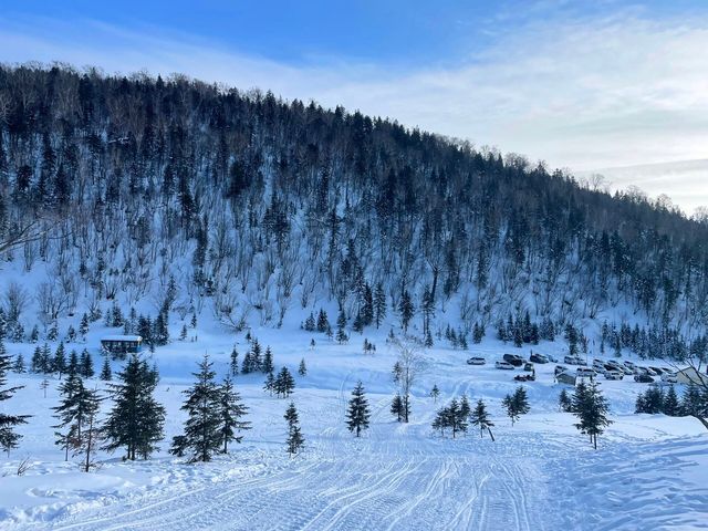 這裡不是挪威芬蘭！這裡是東北雪谷霧凇嶺！！！