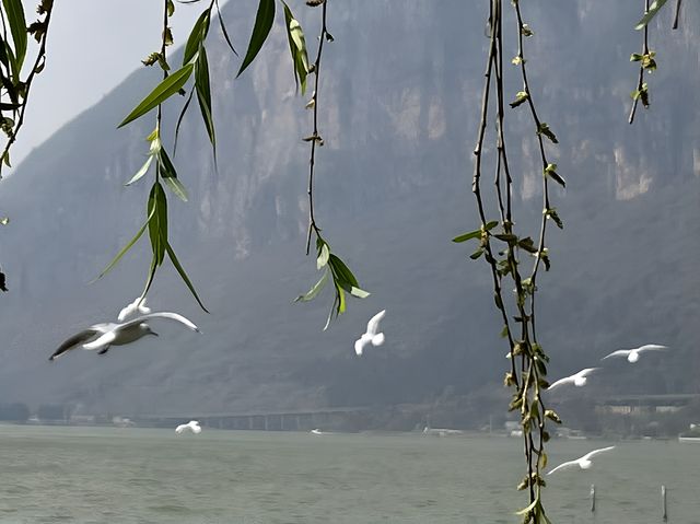 海堤公園