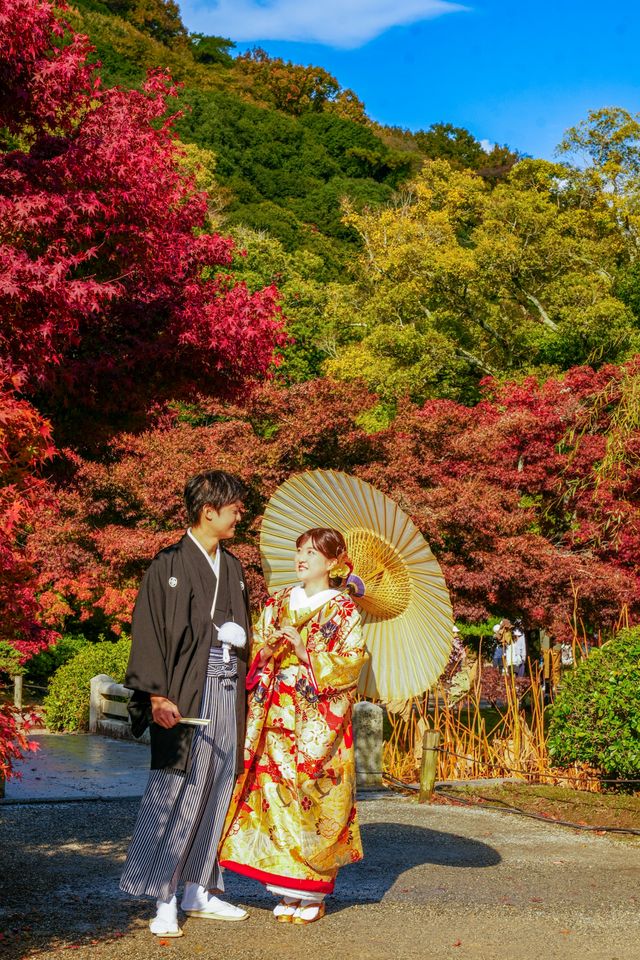 秋韻松風｜漫步栗林公園的紅葉下