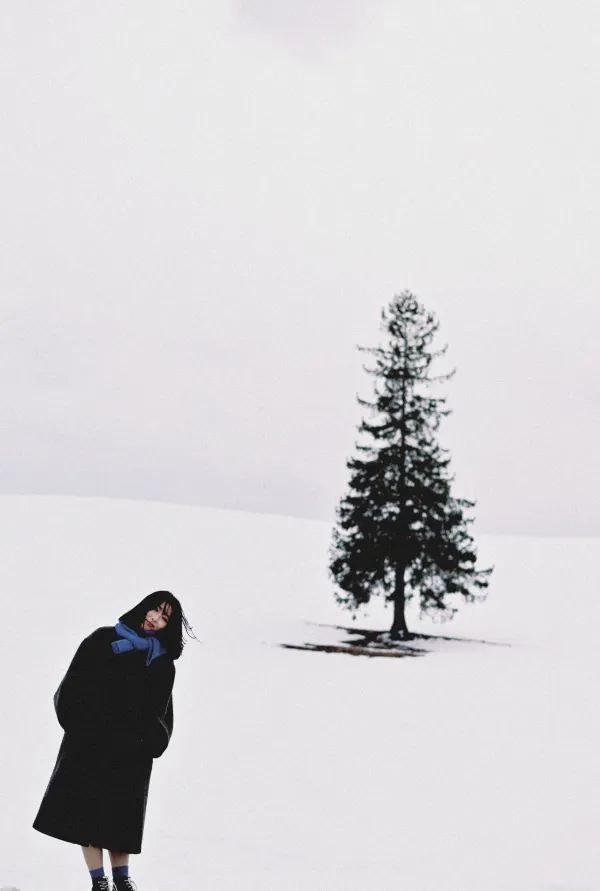 ❄️日本北海道｜美馬牛+美瑛 自由行攻略