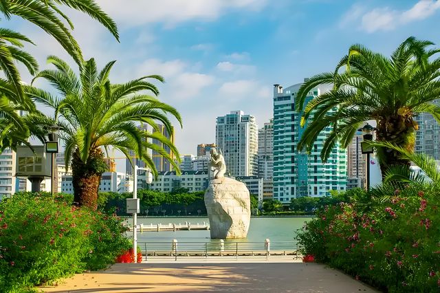 想在農曆新年感受廈門年味？白鷺洲公園有何獨特之處？