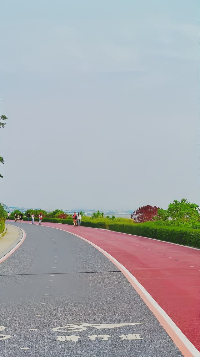 《濱海灣花海裡：邂逅寧靜與美好》