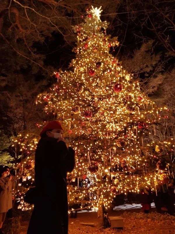 The Most Beautiful Christmas Experience at the Karuizawa Kogen Church