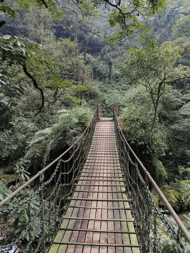 樂山-峨眉山-都江堰｜探秘熊貓之旅 超詳細攻略快碼住