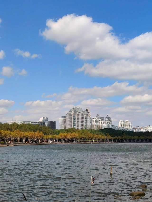 初秋的上海世紀公園