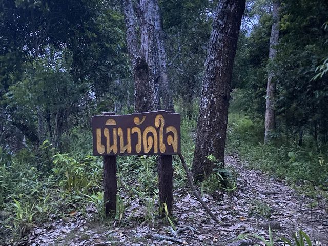 ชมธรรมชาติกับอุทยานแห่งชาติดอยขุนตาล⛰️🪵