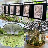 Festive Singapore Botanic Gardens