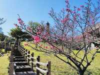 Yaeshima Park