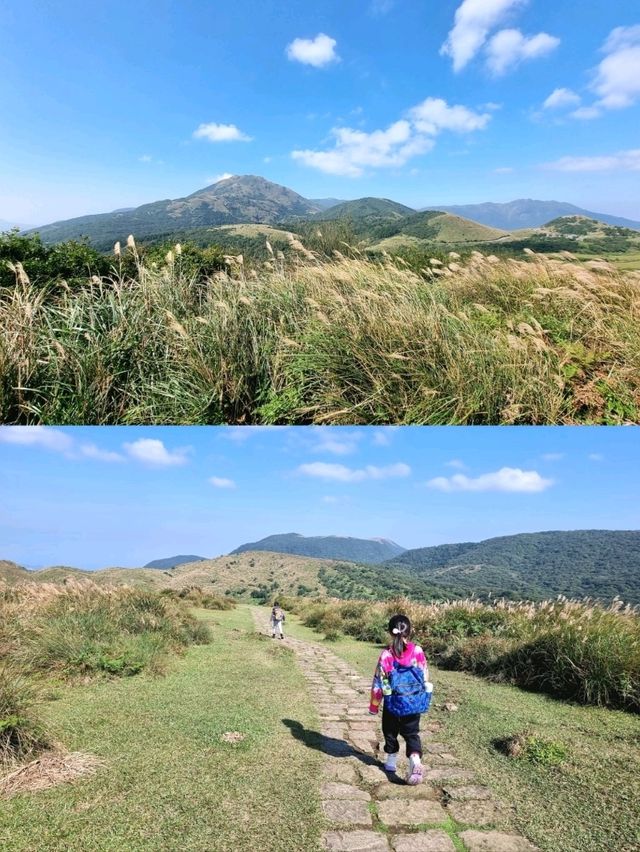 Qingtiangang Grassland