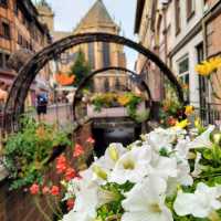 Colmar: The Fairytale Village of Alsace