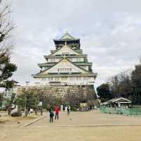 Osaka Odyssey: A Day of Iconic Sights and Flavors