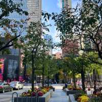 Chicago Trip Review: A City That Stole My Heart