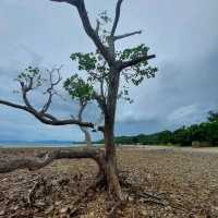 Astoria Palawan