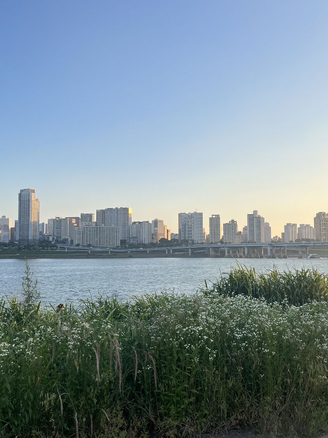 เดินเล่นเพลินๆที่สวนสาธารณะ Ttukseom Hangang Park