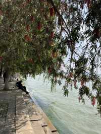 海堤公園