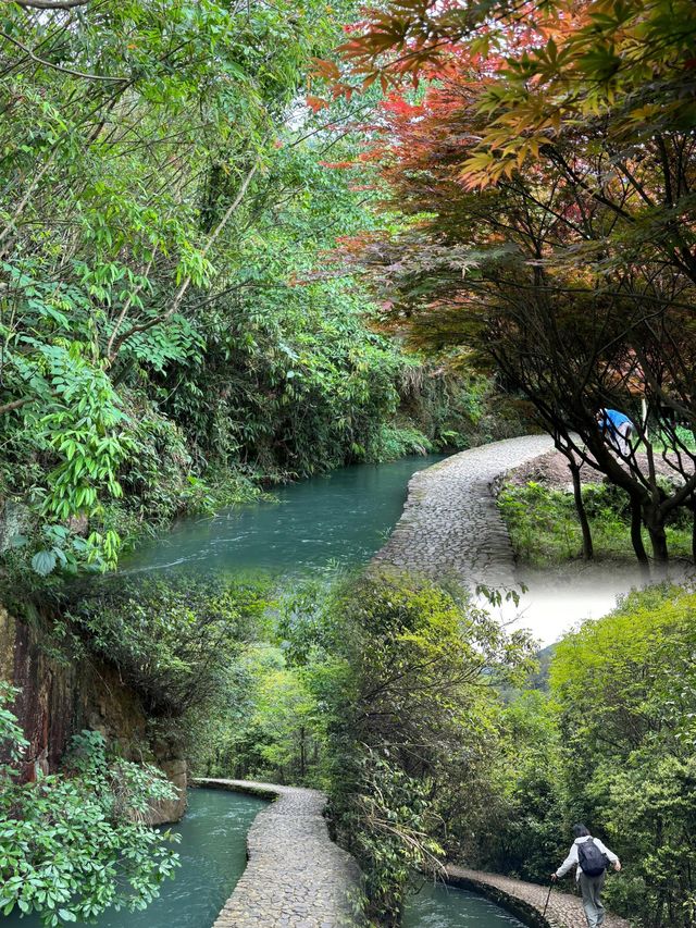 桐廬| 馬嶺古道 富春江絕美輕徒步路線