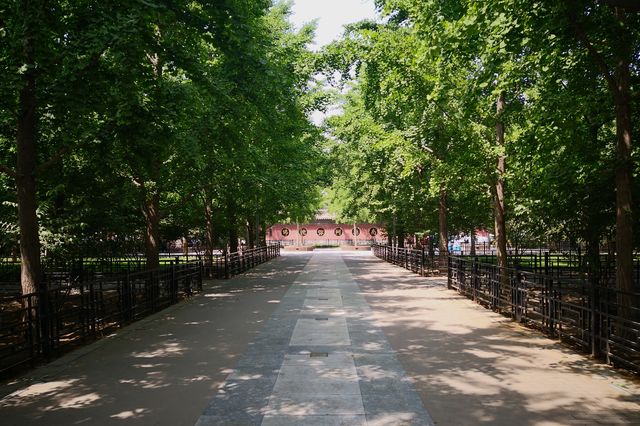 佛教典藏博物館，千年古剎法源寺