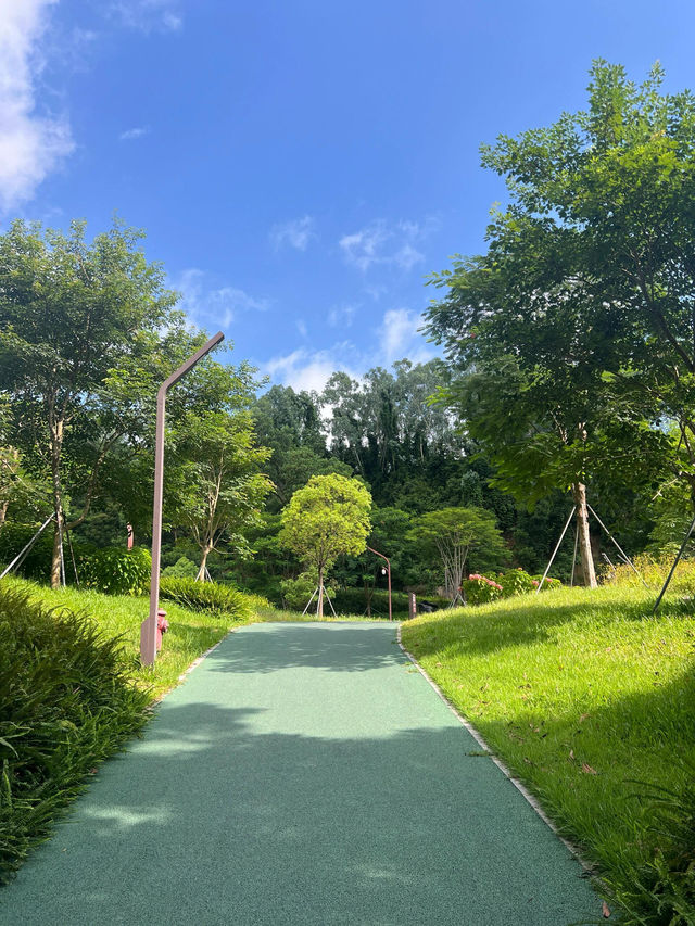 深圳公園｜城市裡的綠野仙蹤