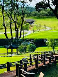 中山公園 大自然的避風港。