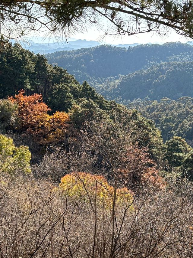 承德-烏蘭布統-木蘭圍場 3日暢遊攻略大揭秘。