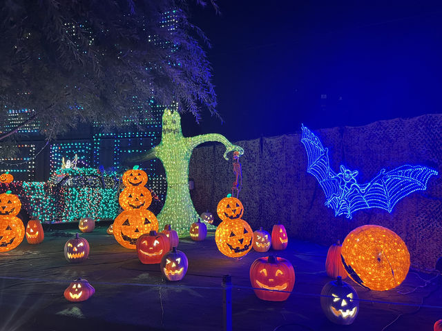 Illumi Toronto: A Must-Visit Light Show for Families