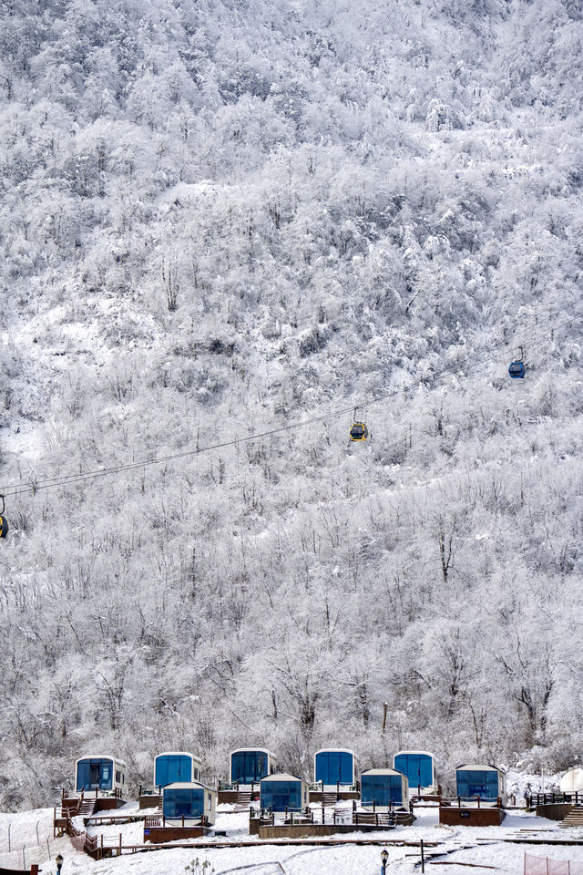 成都周邊雪景勝地 | 西嶺雪山—— 冬日幻想之旅