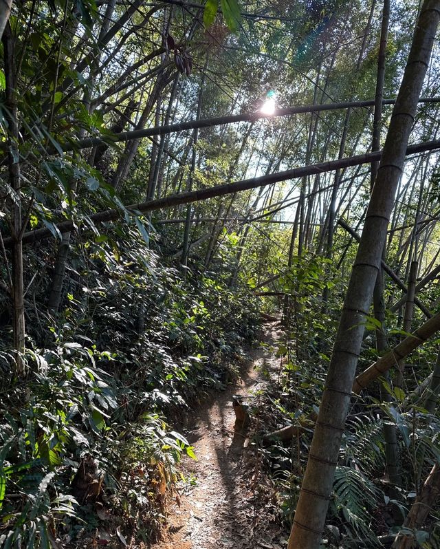 挑戰從化五指山，遇見最美的自己