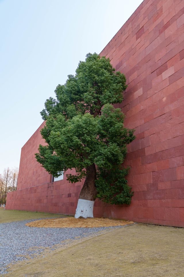 周末打卡中國美院