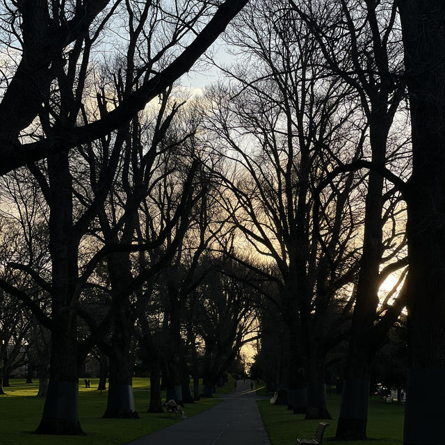 Carlton Gardens in Mel