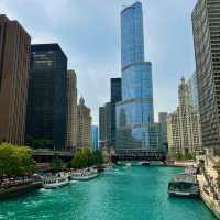 Chicago Trip Review: A City That Stole My Heart