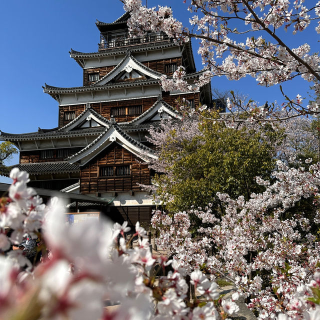 Exploring the Wonders of Hiroshima Castle!