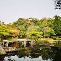 Nature’s Palette: Autumn Bliss at Kokoen Garden, Himeji!