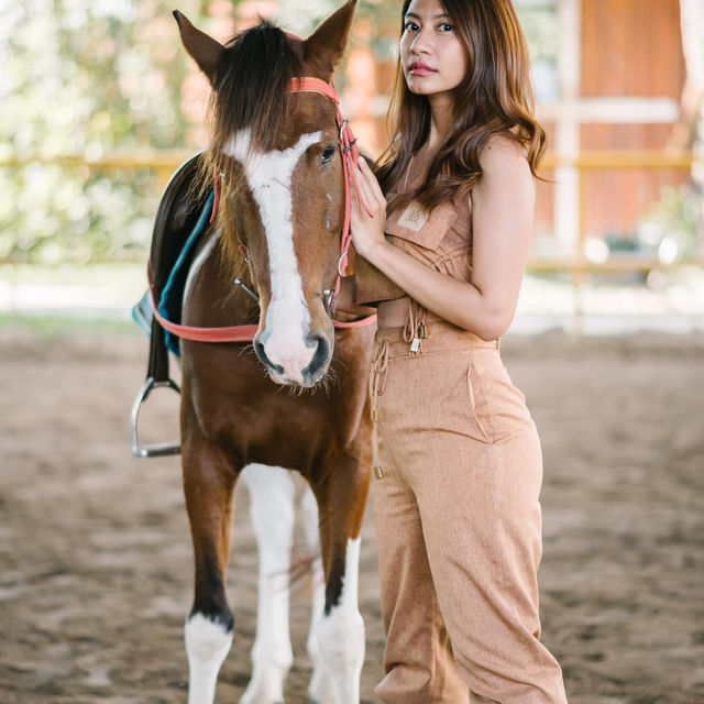 ปงยั้งม้า pong horse park หางดง เชียงใหม่