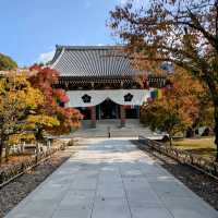 【京都紅葉】本当は教えたくない紅葉の名所 総本山智積院