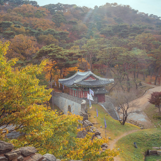 인천 가을 여행지중 세 손가락안에 드는 역대급 단풍”전등사”