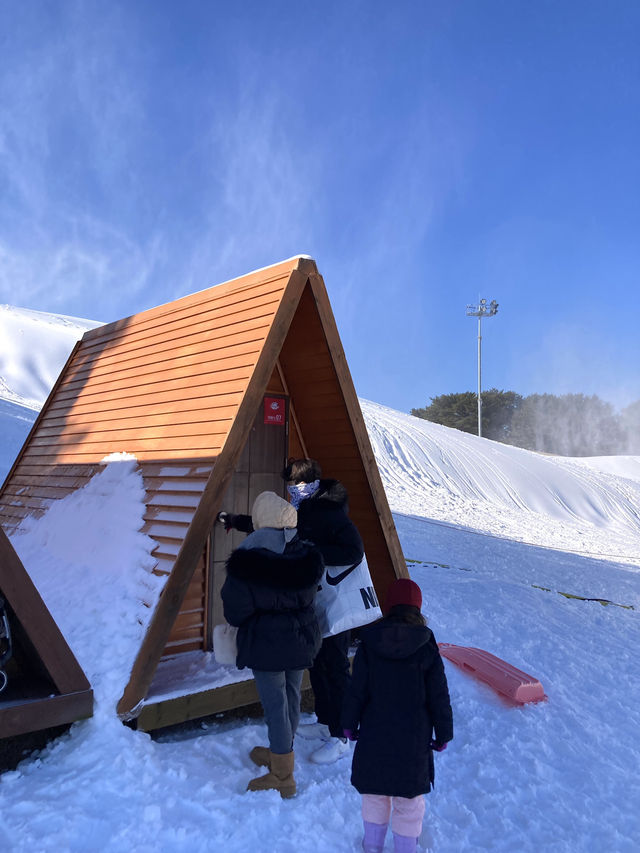 비발디파크 아이들이 좋아할 눈 세상 ‘스노위랜드’❄️☃️