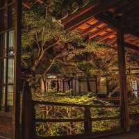 大本山·建仁寺：京都禪意的深處