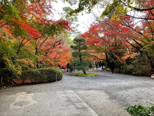  京都龍安寺：禪意的極致與石庭之美