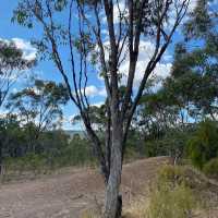 Nature’s Hidden Gem: Exploring Heathcote-Graytown