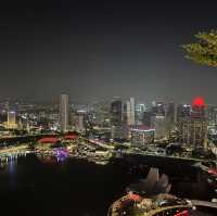 Marina Bay type of Christmas