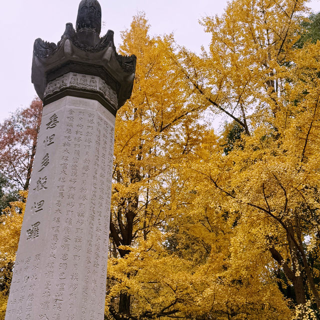 Golden Tranquility: Discover the Magic of Wenshu Yuan Monastery in Chengdu