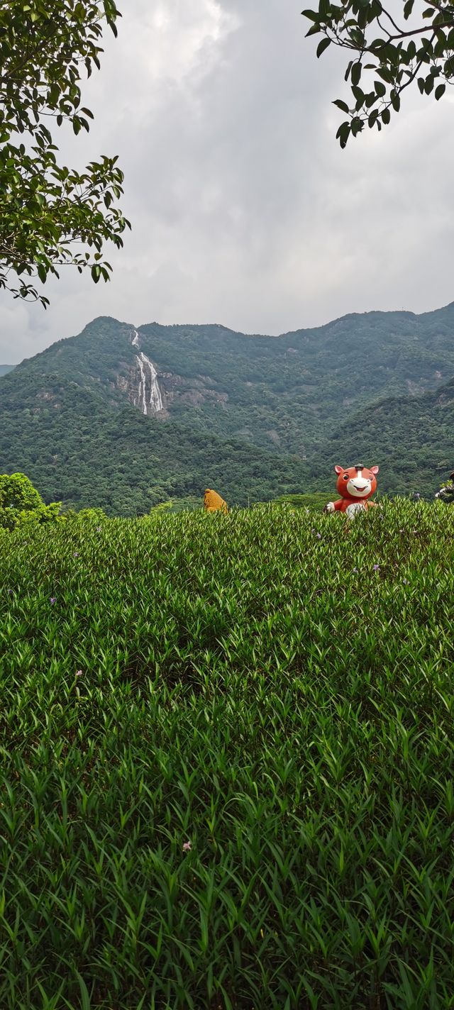 廣州增城區白水寨風景名勝區紅色教育基地。