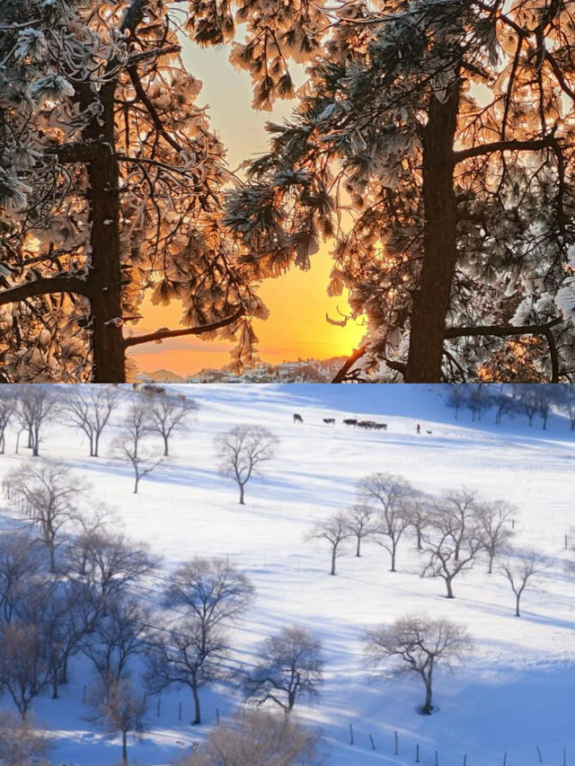 烏蘭布統，冬日裡的冰雪綺夢