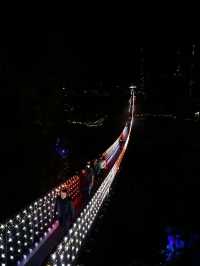 Visit Capilano Suspension Bridge Park's Light Show Before It Ends