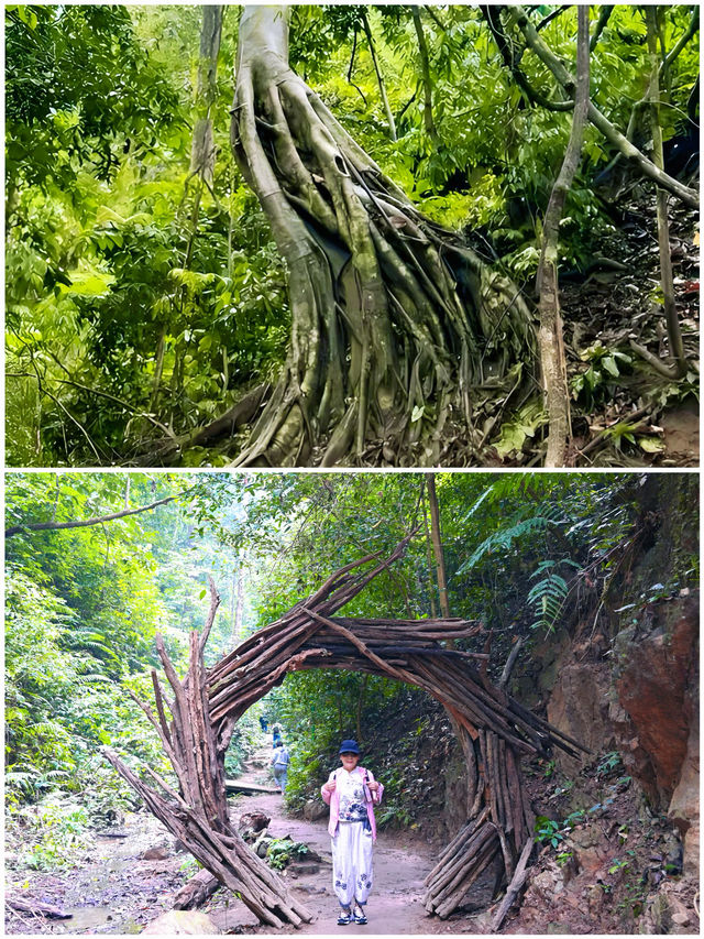 娛樂天堂/綠野仙蹤/大型氧吧～西雙版納原始森林公園