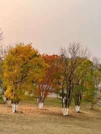 重慶金州公園